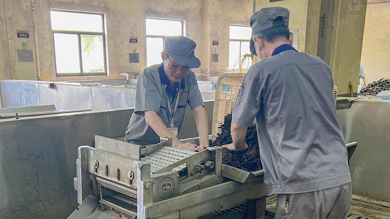 【匠心浙農(nóng)】中藥生產(chǎn)的排頭兵——景岳堂員工汪濤八年三崗專(zhuān)注中藥工藝攻堅(jiān)