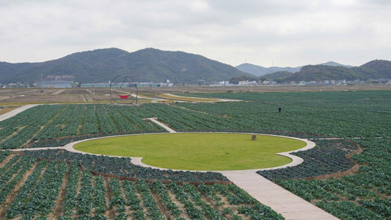 浙農(nóng)科技岱山運(yùn)營(yíng)項(xiàng)目獲人民日?qǐng)?bào)、新華社、央視等主流媒體關(guān)注